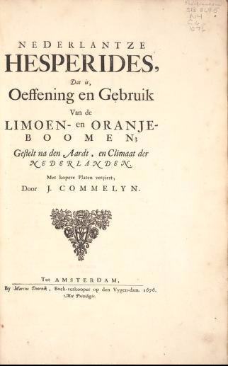 Limoen en Oranje Boomen 01