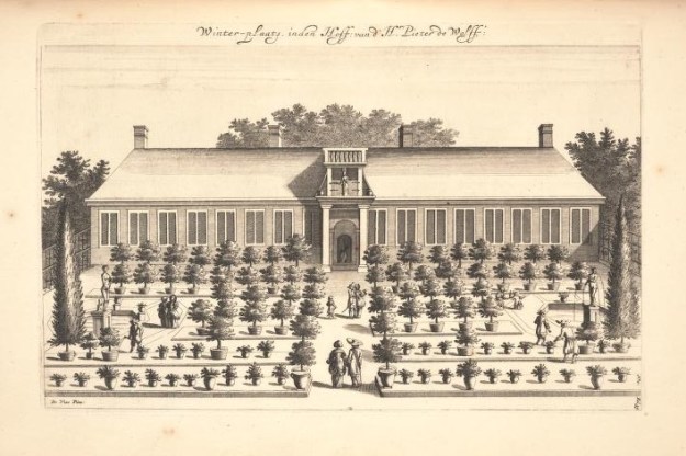 Limoen en Oranje Boomen 19a